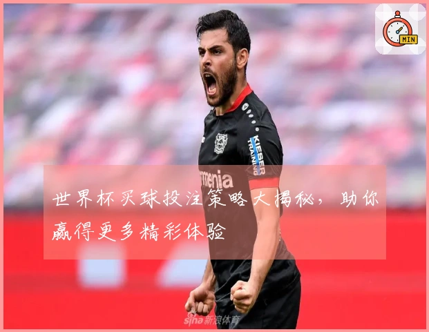 世界杯买球投注策略大揭秘，助你赢得更多精彩体验