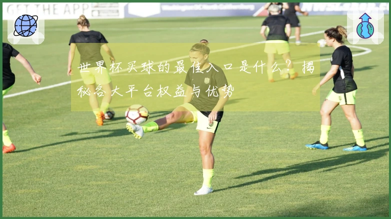 世界杯买球的最佳入口是什么？揭秘各大平台权益与优势