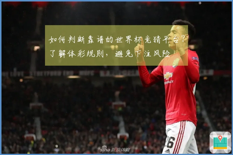 如何判断靠谱的世界杯竞猜平台？了解体彩规则，避免下注风险