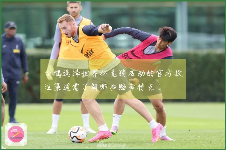 合理选择世界杯竞猜活动的官方投注渠道需了解哪些赔率特点