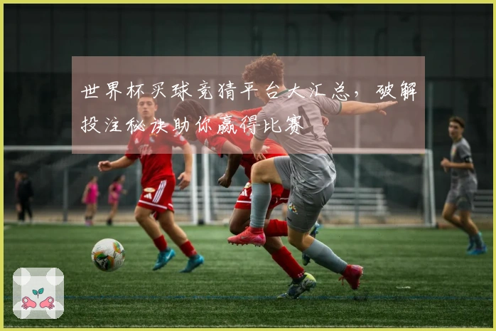 世界杯买球竞猜平台大汇总，破解投注秘诀助你赢得比赛
