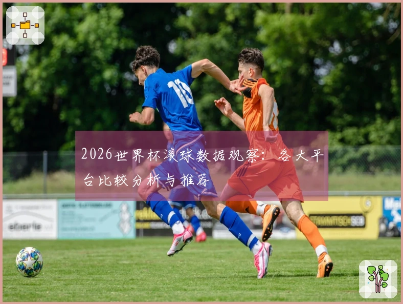 2026世界杯滚球数据观察：各大平台比较分析与推荐
