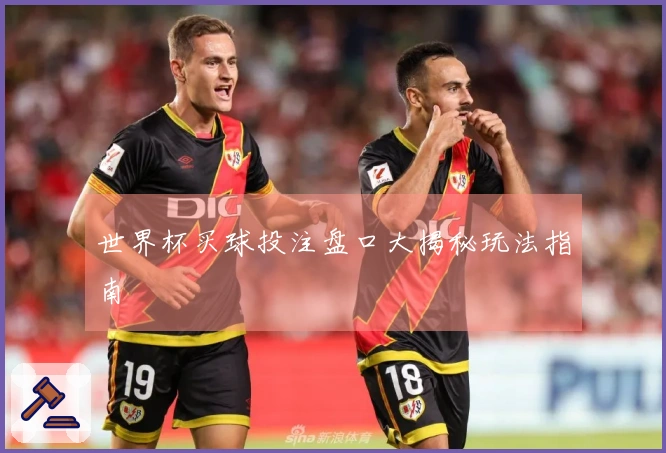 世界杯买球投注盘口大揭秘玩法指南