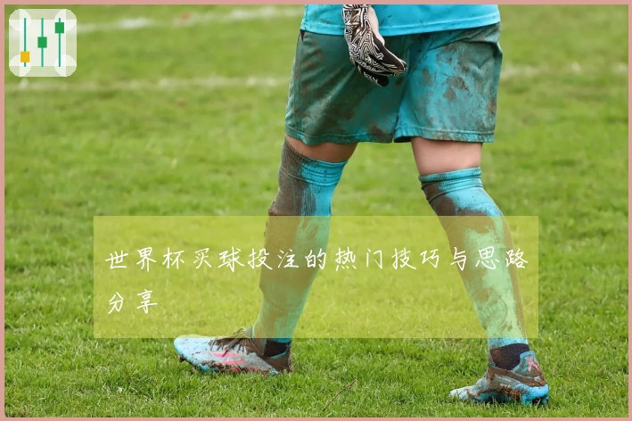 世界杯买球投注的热门技巧与思路分享