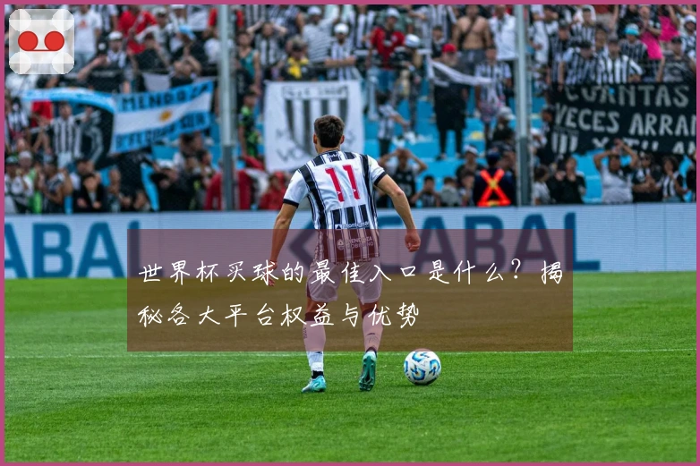 世界杯买球的最佳入口是什么？揭秘各大平台权益与优势