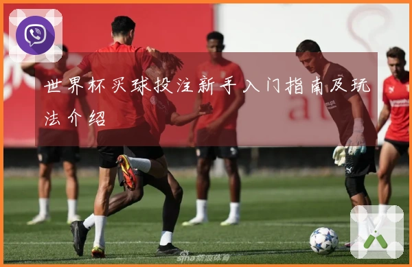 世界杯买球投注新手入门指南及玩法介绍