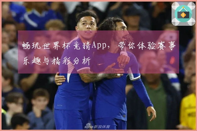 畅玩世界杯竞猜App,带你体验赛事乐趣与精彩分析