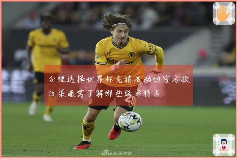 合理选择世界杯竞猜活动的官方投注渠道需了解哪些赔率特点