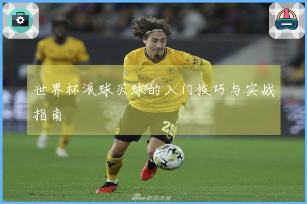 世界杯滚球买球的入门技巧与实战指南