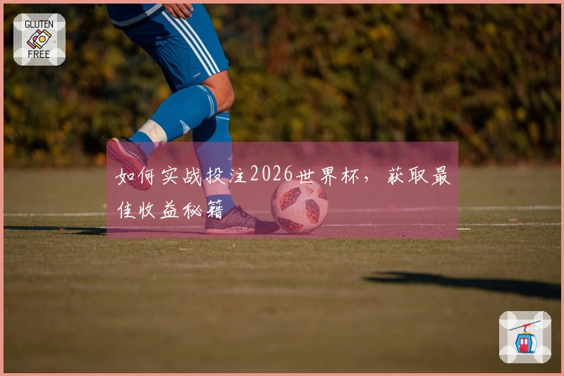如何实战投注2026世界杯,获取最佳收益秘籍