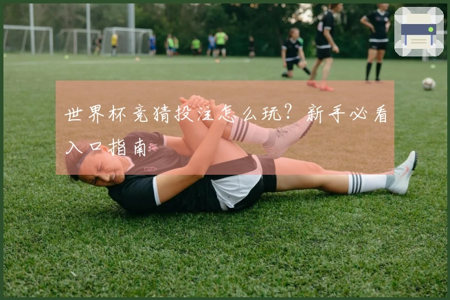世界杯竞猜投注怎么玩？新手必看入口指南