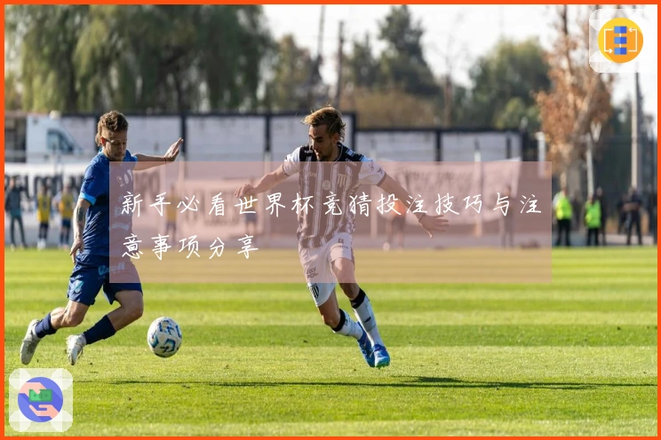新手必看世界杯竞猜投注技巧与注意事项分享