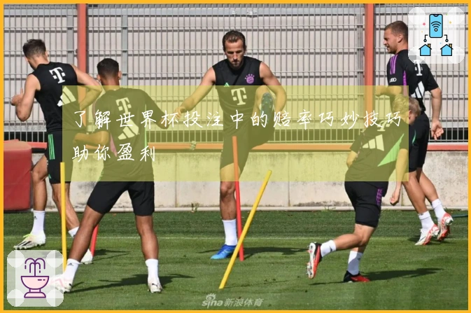 了解世界杯投注中的赔率巧妙技巧助你盈利