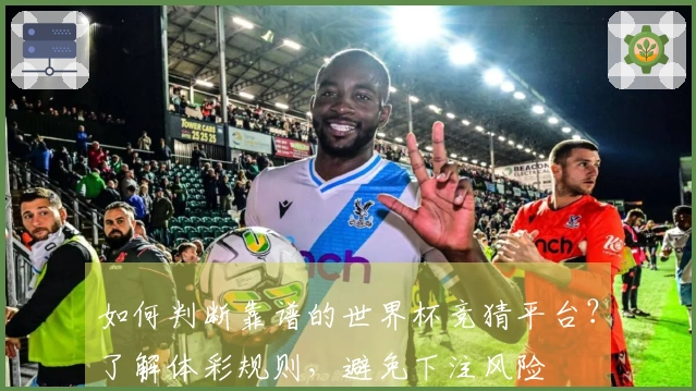 如何判断靠谱的世界杯竞猜平台？了解体彩规则，避免下注风险