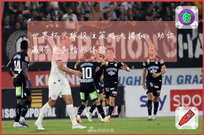 世界杯买球投注策略大揭秘，助你赢得更多精彩体验