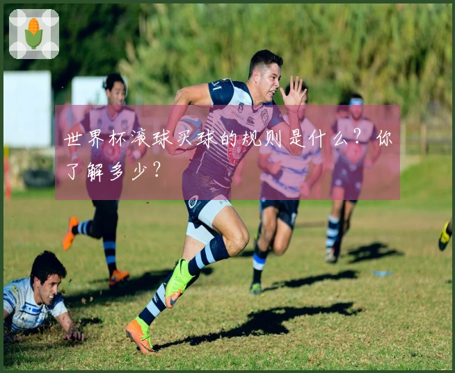世界杯滚球买球的规则是什么？你了解多少？