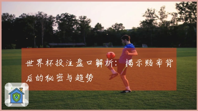 世界杯投注盘口解析：揭示赔率背后的秘密与趋势