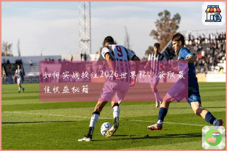 如何实战投注2026世界杯，获取最佳收益秘籍