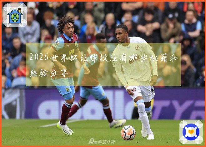 2026世界杯让球投注有哪些秘籍和经验分享