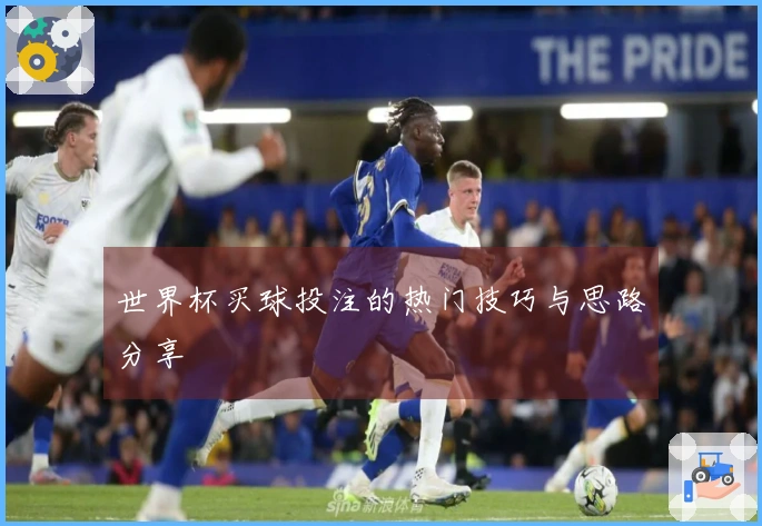 世界杯买球投注的热门技巧与思路分享